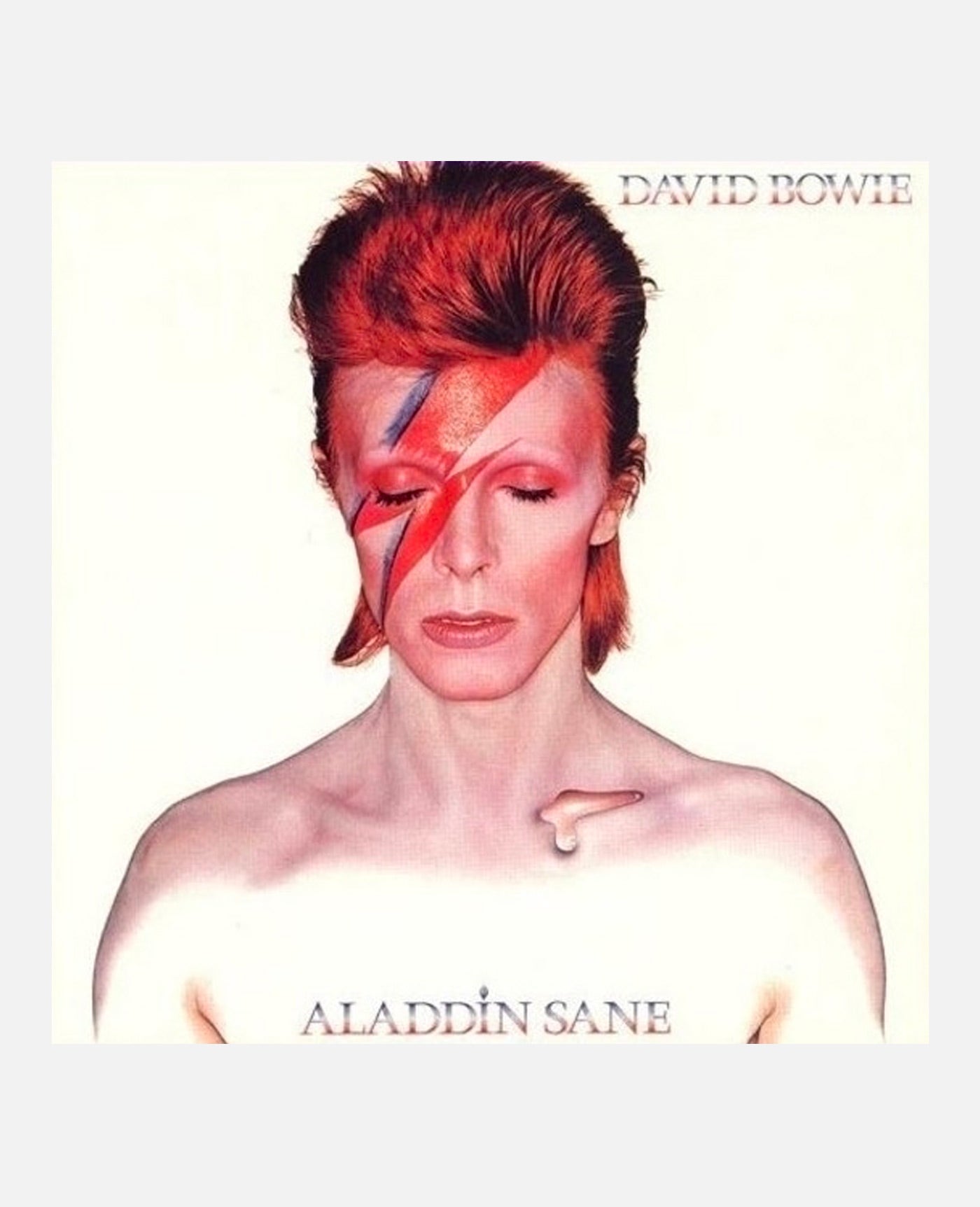 ALADDIN SANE _ - KOST